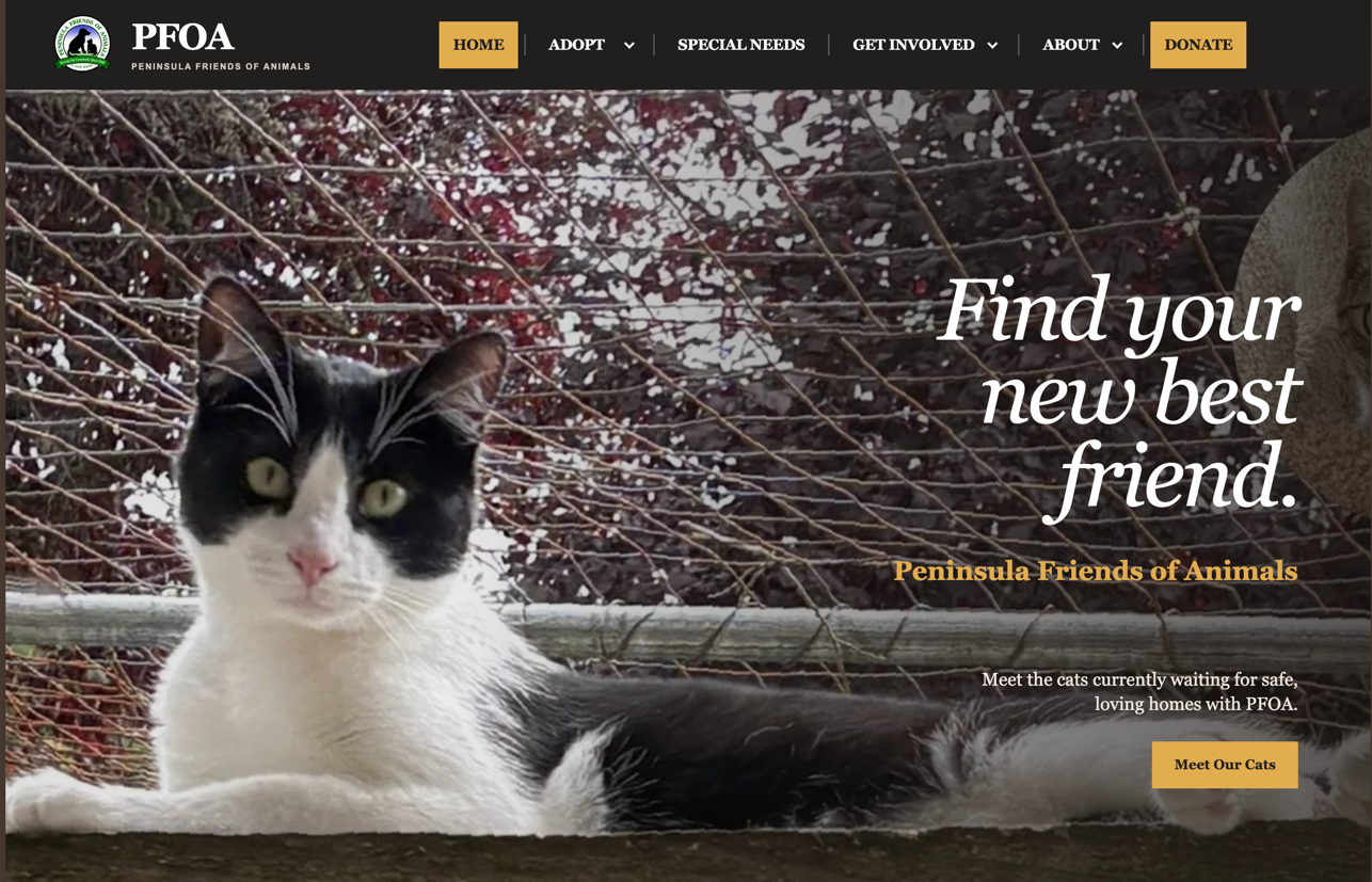 Preview of the PFOA public website